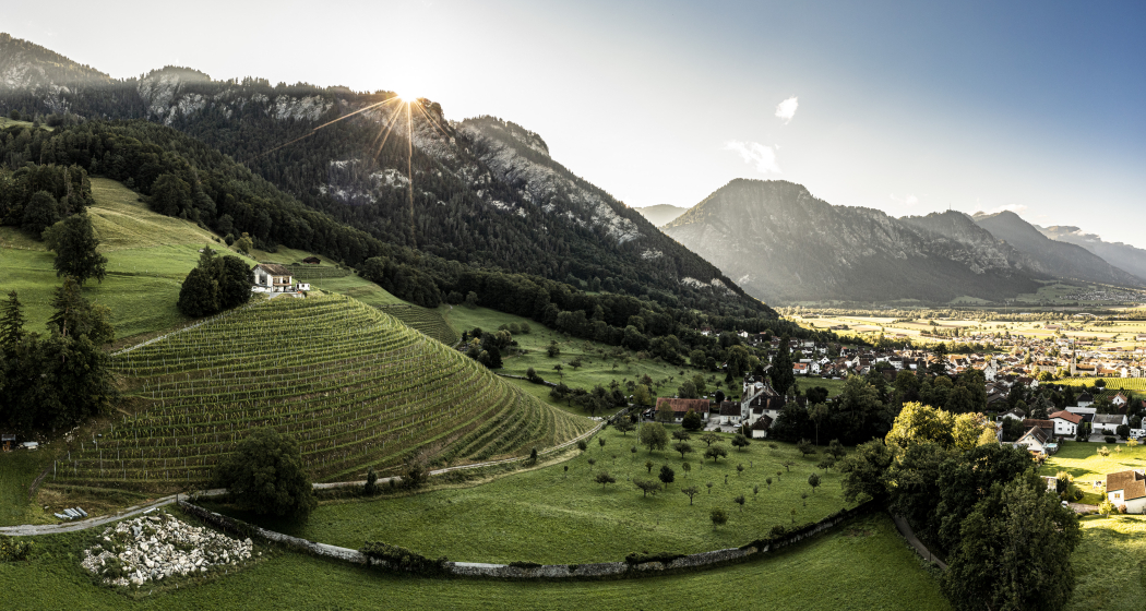 Weingut Wegelin (ctd_5c0ac627-1a08-4afe-a086-59abb72ed3f4_img01)