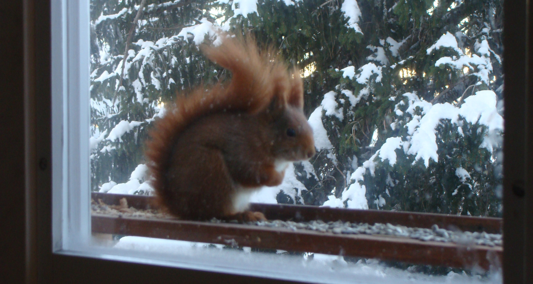 Haus Margrithli, Furt (ctd_68ff6816-75cc-46b4-a6ae-142656ac56f6_img01)