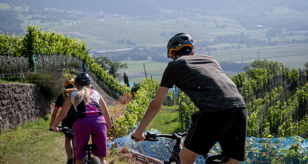 image_09_scope (ctd_6e3d9576-d52e-480b-bf31-84628f5c907c_img02)