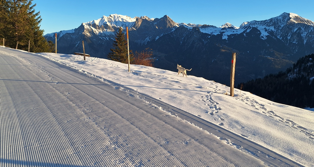 Skihüttli Golerberg (ctd_83cd51e2-4403-4b78-9cff-eed27d56dec8_img02) Skihüttli Golerberg (ctd_83cd51e2-4403-4b78-9cff-eed27d56dec8_img02)