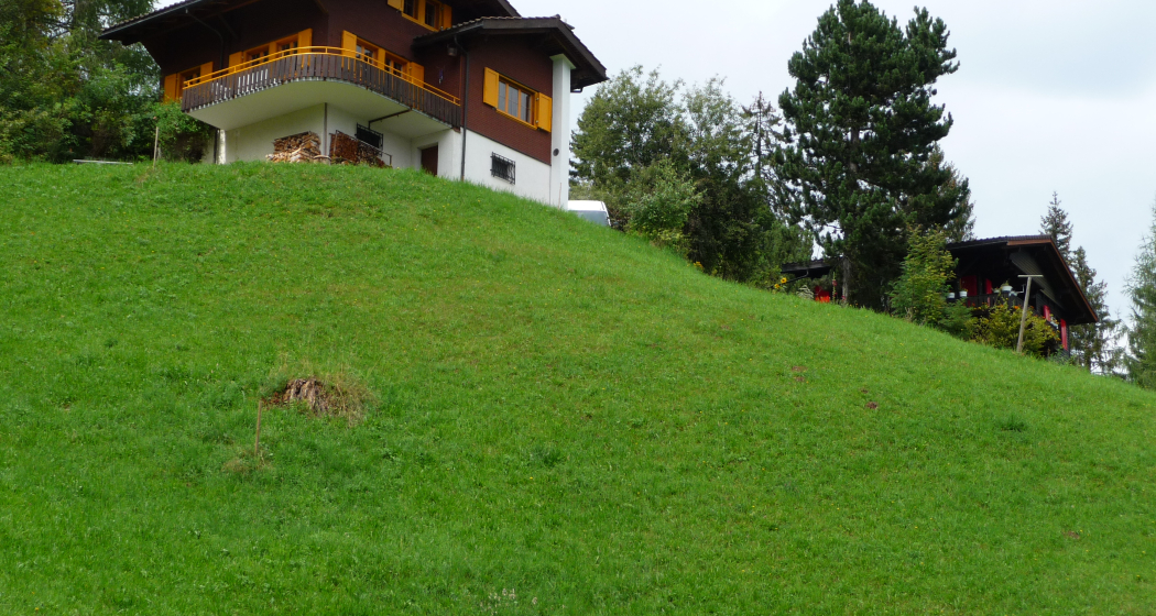 Chalet Guggerli (ctd_8e5cb257-acad-4639-896d-94e4057d5f6a_image)