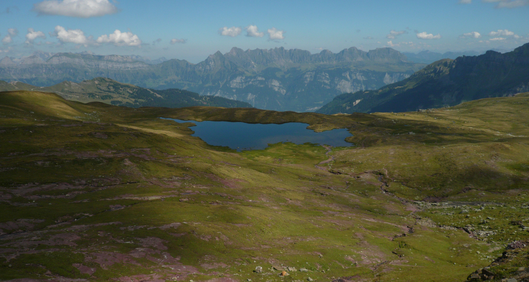 Maadseeli (ctd_c38f957e-caaa-4975-95cc-0f1c76480cf6_image)