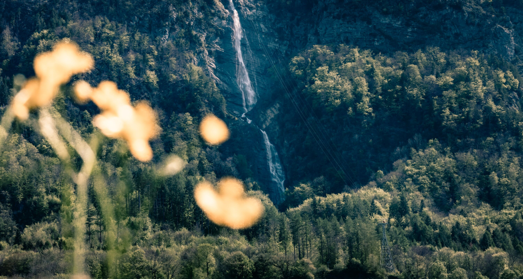 Ragnatscher Fall (ctd_c96ee797-35c9-4458-8f9b-87f2b4d4027e_image) Ragnatscher Fall (ctd_c96ee797-35c9-4458-8f9b-87f2b4d4027e_image)