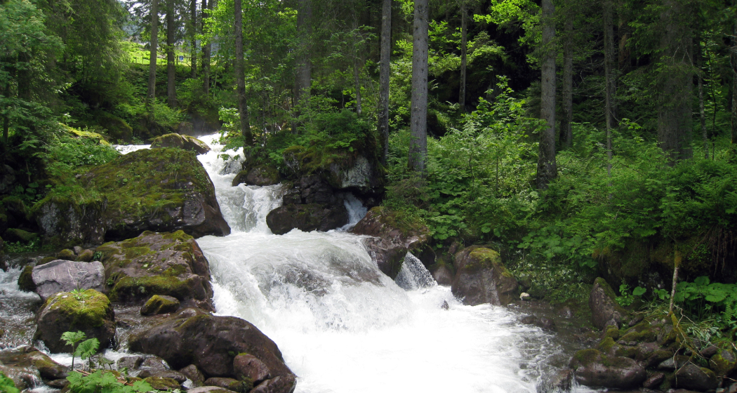 Gsponbachfall (ctd_d2dabc41-c1ac-471d-bb75-400b4db0c302_image) Gsponbachfall (ctd_d2dabc41-c1ac-471d-bb75-400b4db0c302_image)