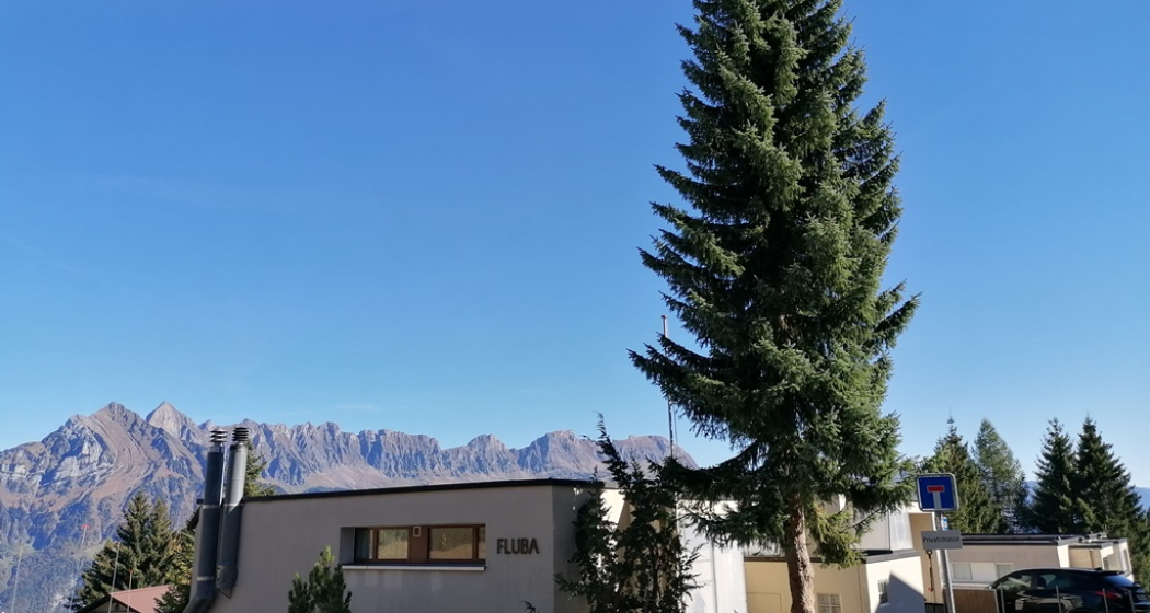 Ferienwohnung Fluba (ctd_d3501a49-5531-4165-914e-693f98de2020_image)