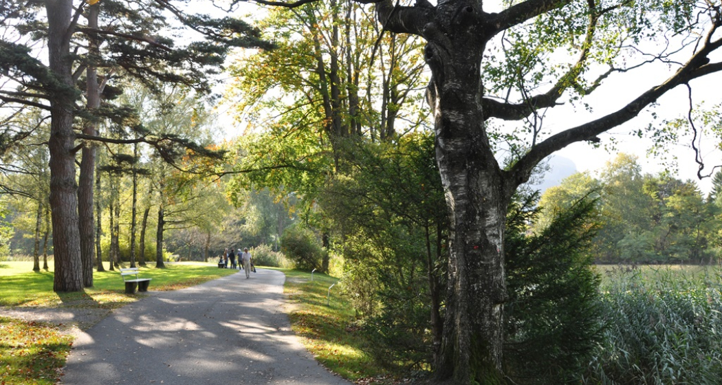 Giessenpark & Giessensee (ctd_d8629471-64b8-4922-abfd-39d5cab0b0a8_img02)