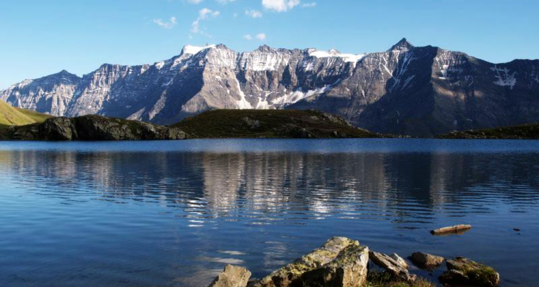 Plattenseeli (ctd_e1b9abb8-4450-4c98-8fca-ac21c712d8b1_image)