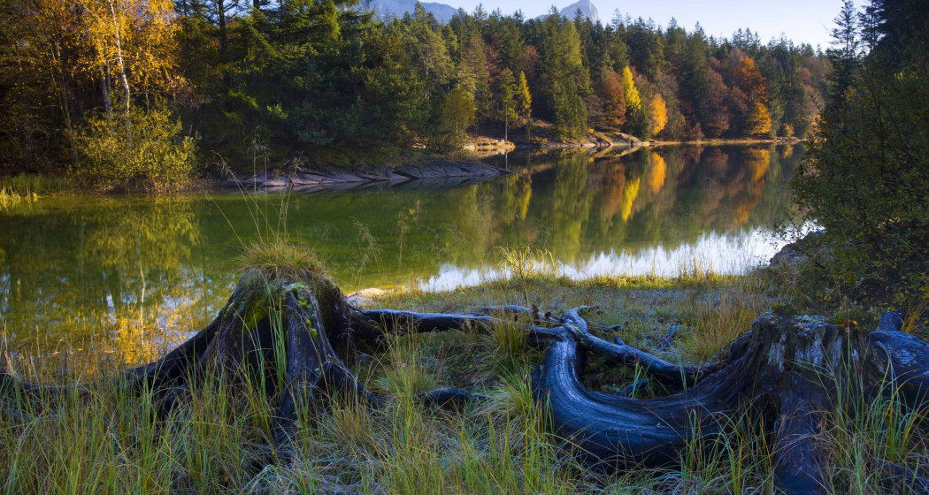 Chapfensee (ctd_eaca5cf0-709b-4d05-98d8-f64d38a93d32_image)