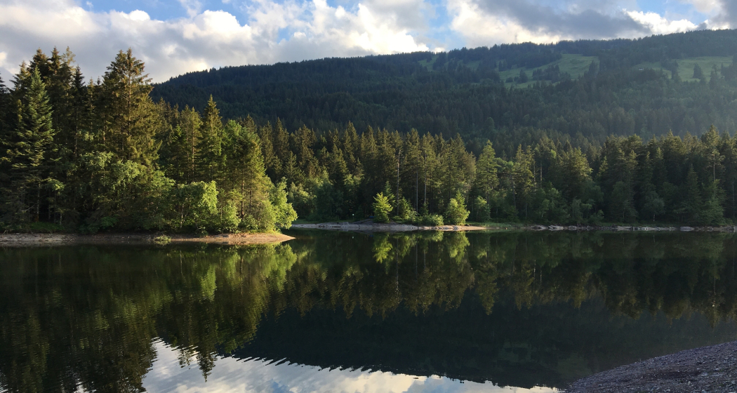 Chapfensee (ctd_eaca5cf0-709b-4d05-98d8-f64d38a93d32_img02)