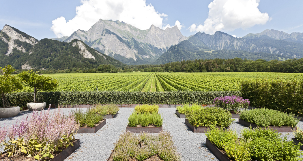Weingut Davaz (ctd_eaf47ea7-98ff-4f97-822e-279b73857dde_image) Weingut Davaz (ctd_eaf47ea7-98ff-4f97-822e-279b73857dde_image)
