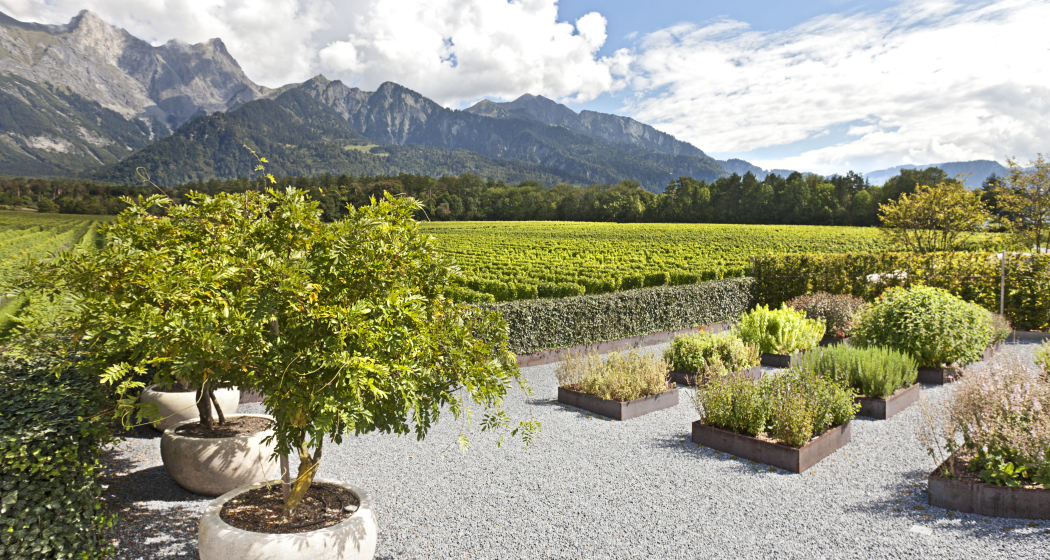 Weingut Davaz (ctd_eaf47ea7-98ff-4f97-822e-279b73857dde_img02) Weingut Davaz (ctd_eaf47ea7-98ff-4f97-822e-279b73857dde_img02)