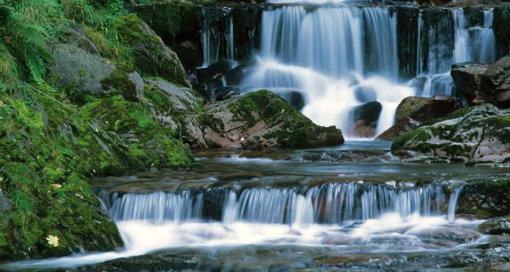 Murgbachschlucht (ctd_f8431716-6c49-460c-a411-de8f8cbcf3c5_image) Murgbachschlucht (ctd_f8431716-6c49-460c-a411-de8f8cbcf3c5_image)