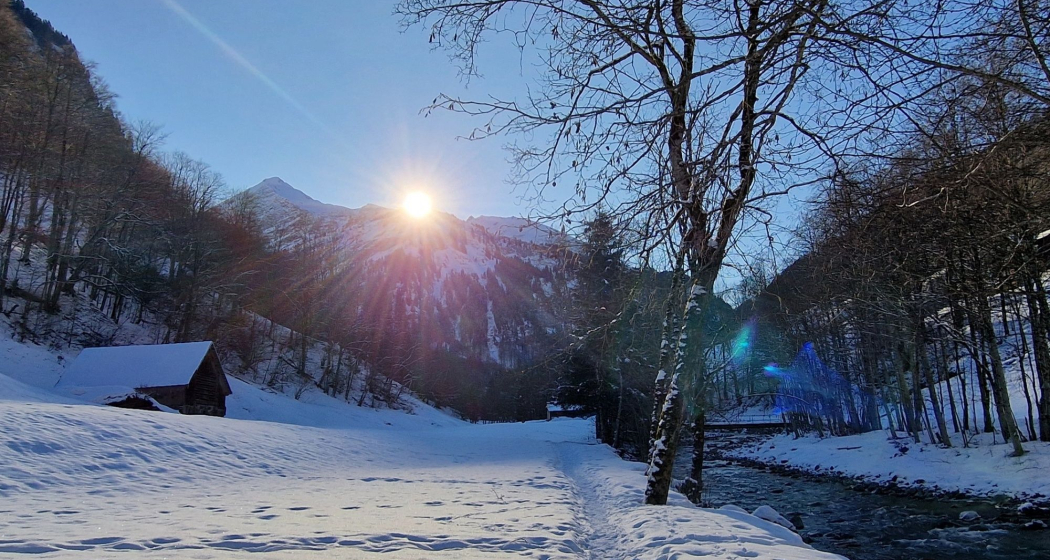 Winterliches Naturerlebnis im Weisstannental (exp_0f3314d)