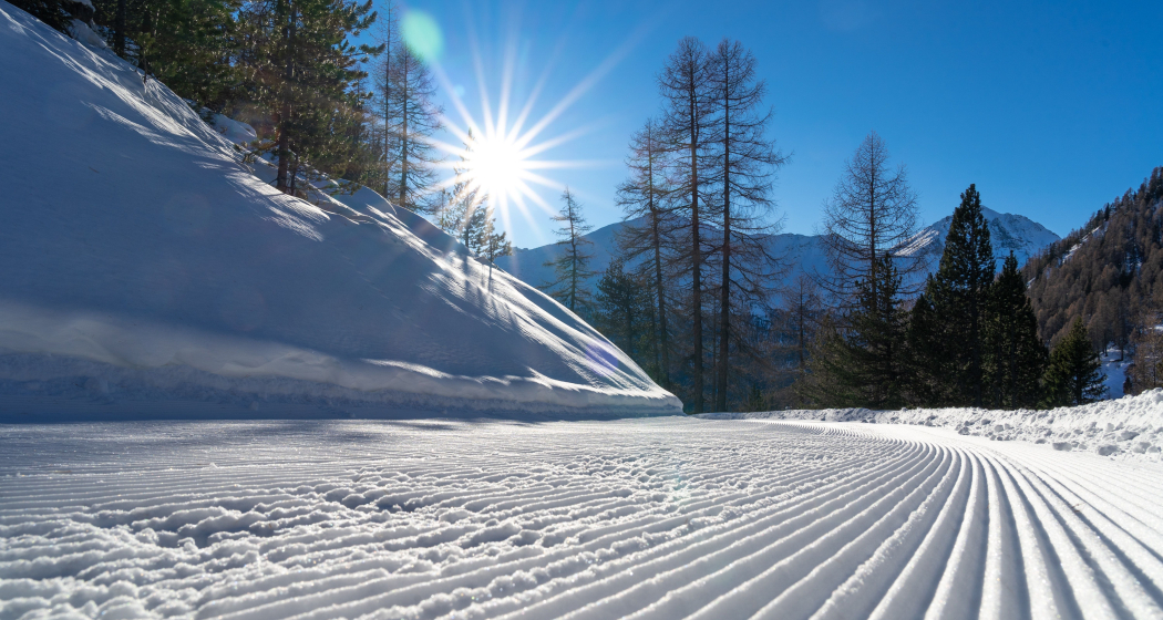 Lawinenkurs Rettung im Val Müstair (exp_40782d2) Lawinenkurs Rettung im Val Müstair (exp_40782d2)