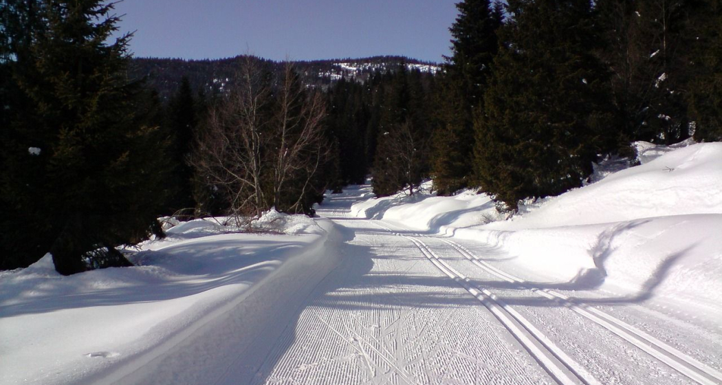 Langlauf Unterricht privat in St. Moritz (exp_6972c67) Langlauf Unterricht privat in St. Moritz (exp_6972c67)