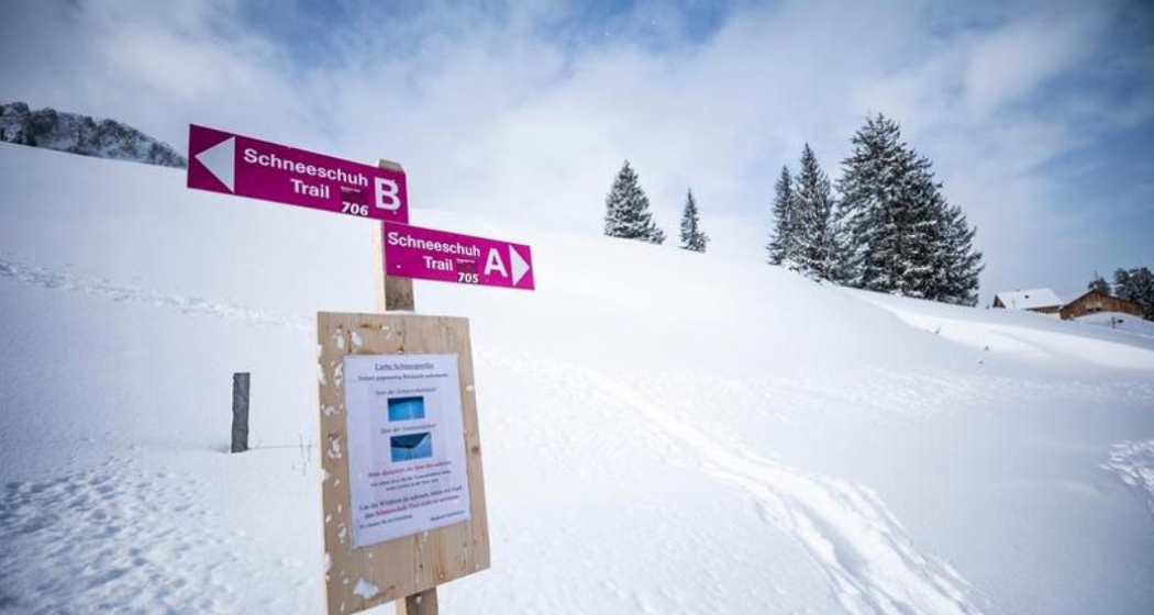 Schneeschuhwandern inkl. Ticket Seilbahn und Käsefondue ab Flums (exp_8ed7594) Schneeschuhwandern inkl. Ticket Seilbahn und Käsefondue ab Flums (exp_8ed7594)