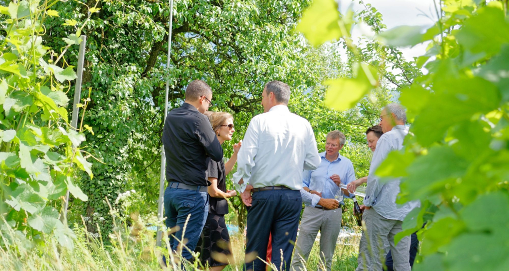 Wein und Gourmet wandern für Gruppen ab Fläsch (exp_94de379)