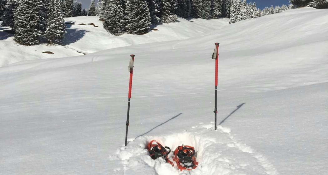 Private Schneeschuhwanderung in Arosa (exp_bd86d7e)
