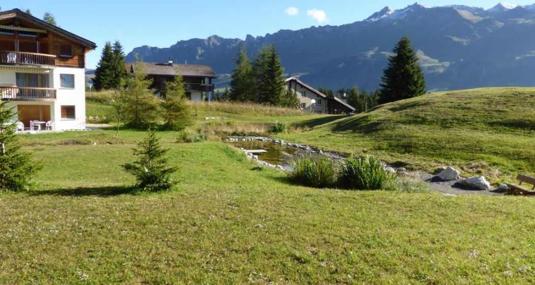 Aussenansicht Sommer