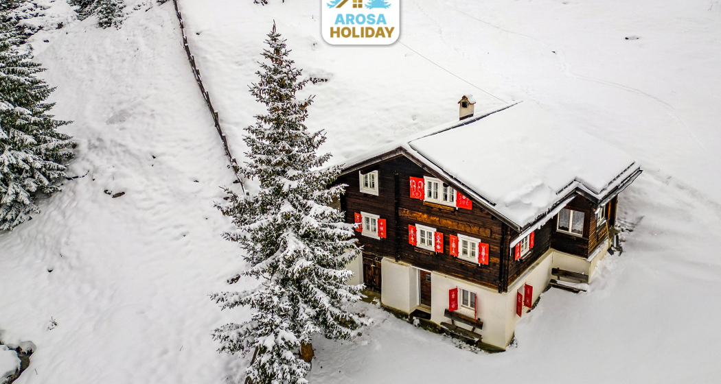 Budemji Main Winter (1)