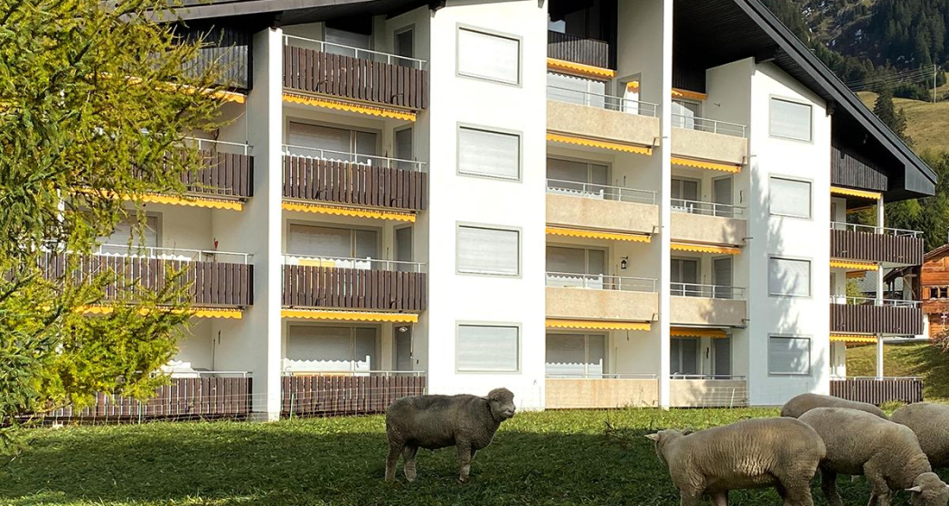 Triangel D Sommer hinten Web