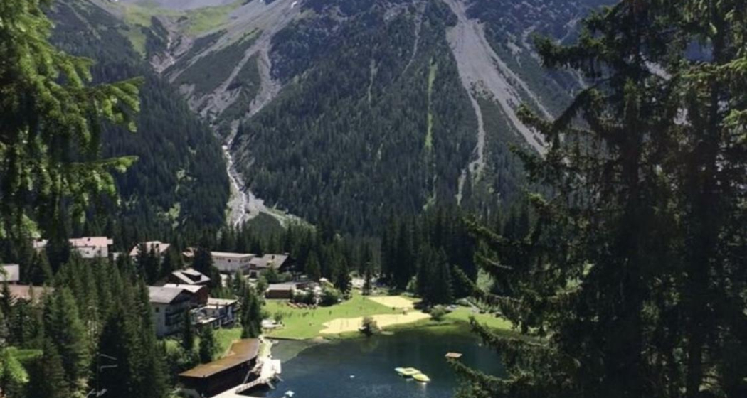 Sommersicht auf den Untersee