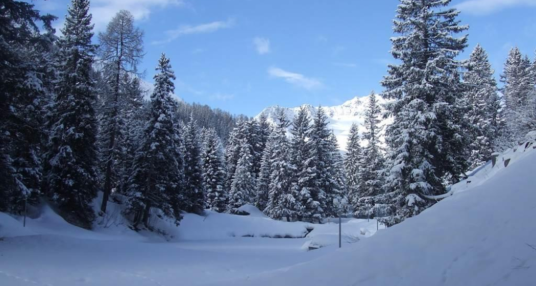 Umgebung Rothornblick, 2