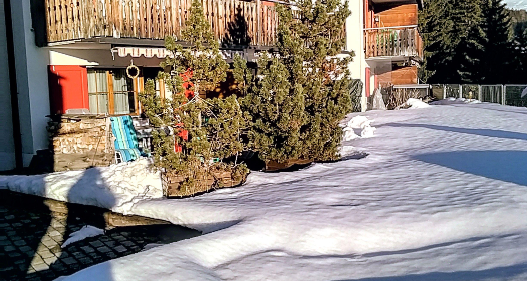 Hausansicht (mittleres Haus)