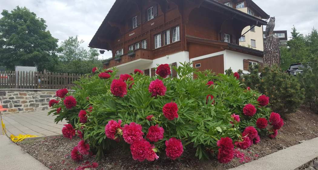 Gebäudeansicht Sommer