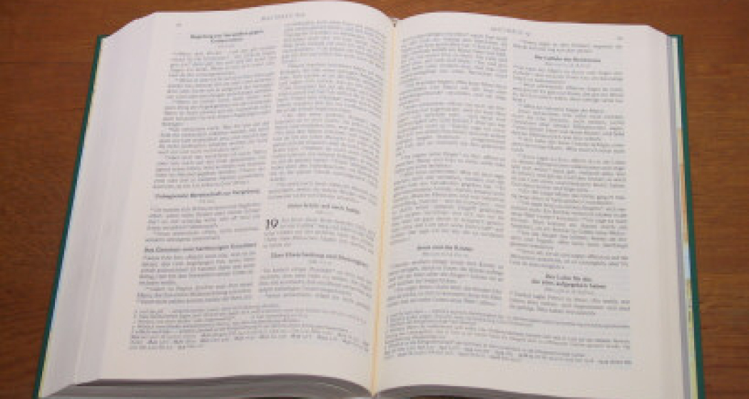 Leben mit der Bibel (gdl_525843724_image)