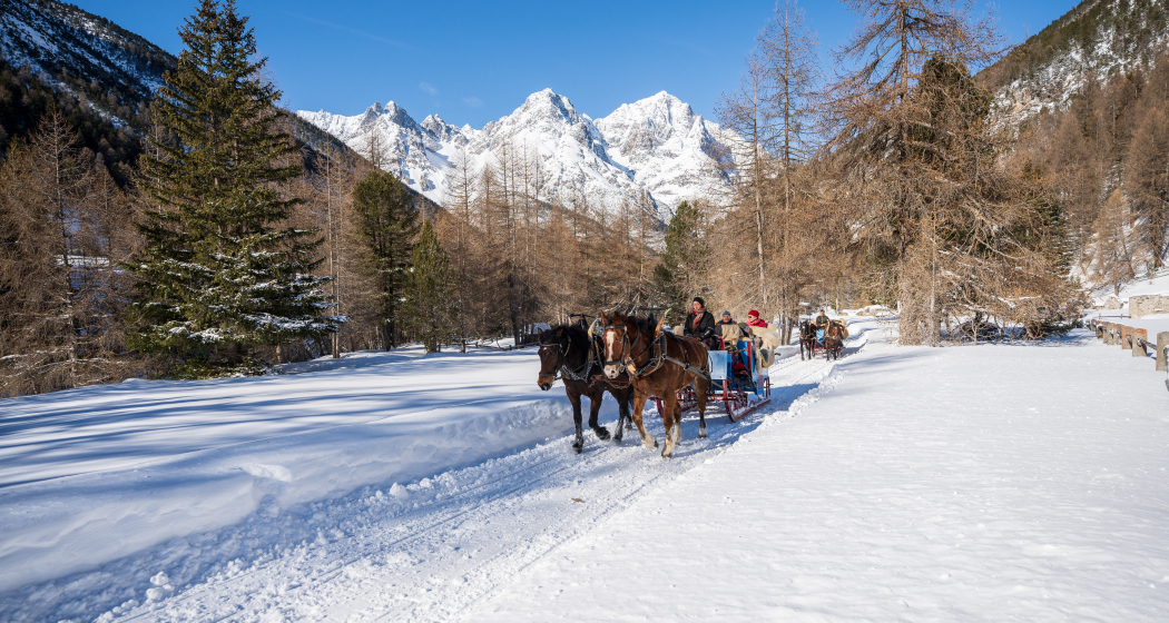 Romantische Pferdeschlittenfahrt ins Val S-charl (gdl_727322535_image)