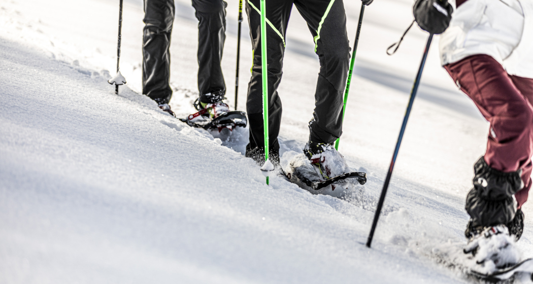 Schneeschuh-Tagestour mit Wildbeobachtung (gdl_727752632_image)