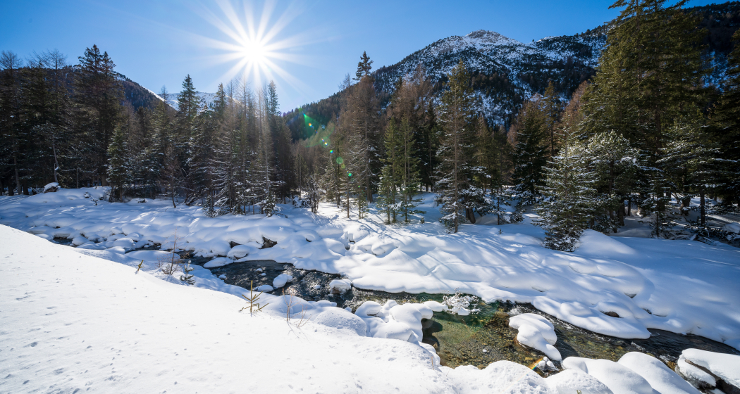 Romantische Pferdeschlittenfahrt ins Val S-charl (gdl_727755729_image)