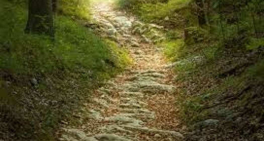 Allerheiligen (gdl_737772146_image)