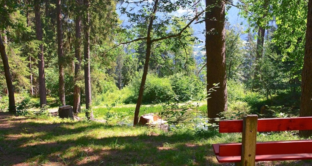 Ökumenischer Gottesdienst im Grünen (gdl_752609219_image)