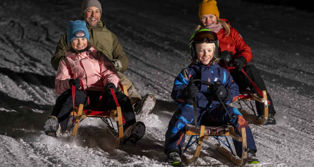 Nachtschlitteln Flims (gdl_787661215_image)