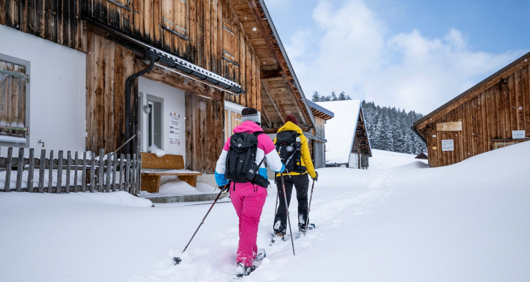 Schneeschuhwanderung im Sorglospaket (gdl_810858602_image)