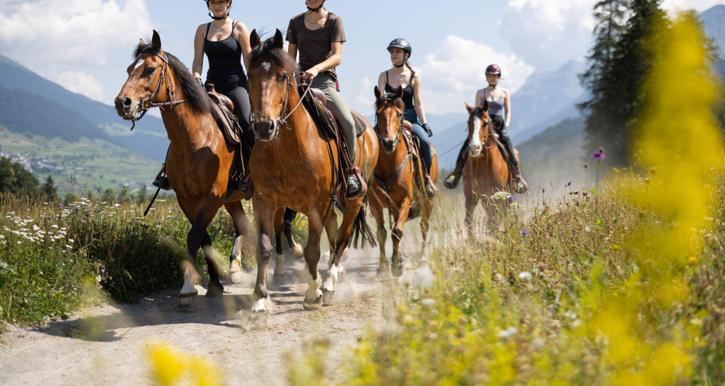 3 Tagesritt nach Val Sinestra und Tschlin (gdl_820285800_image)
