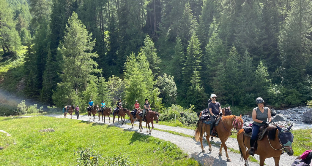 3 Tagesritt nach Val Sinestra und Tschlin (gdl_820285808_image)