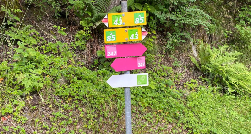 "Aktiv a Glion" - ein Erlebnistag rund um Ilanz (gdl_827104484_image) "Aktiv a Glion" - ein Erlebnistag rund um Ilanz (gdl_827104484_image)