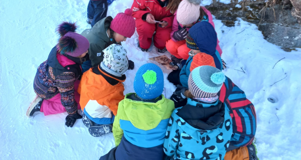 Schatzsuche in Obersaxen-Chummenbühl (gdl_827656788_image)