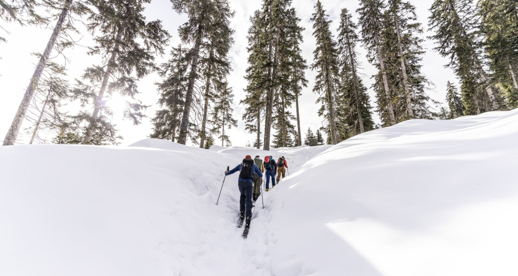 Skitouren für Anfänger*innen und Fortgeschrittene (gdl_833519810_image)