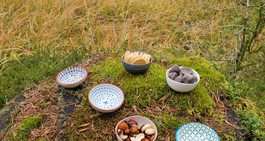 Shinrin Yoku / Waldbaden im Lärchenwald bei Scuol im Engadin (gdl_835069850_image)