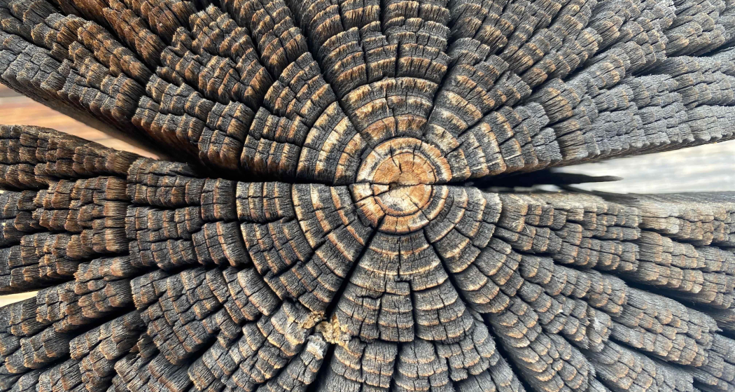 Meditation im Advent (gdl_838924429_image)