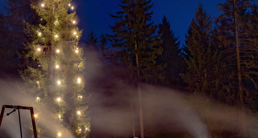 Waldweihnachten 25. Dezember 2025 (gdl_839577746_image)