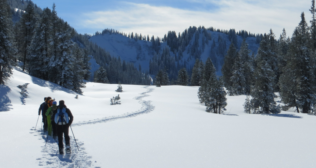 Geführte Schneeschuhtour in Lumnezia (gdl_840064981_image)