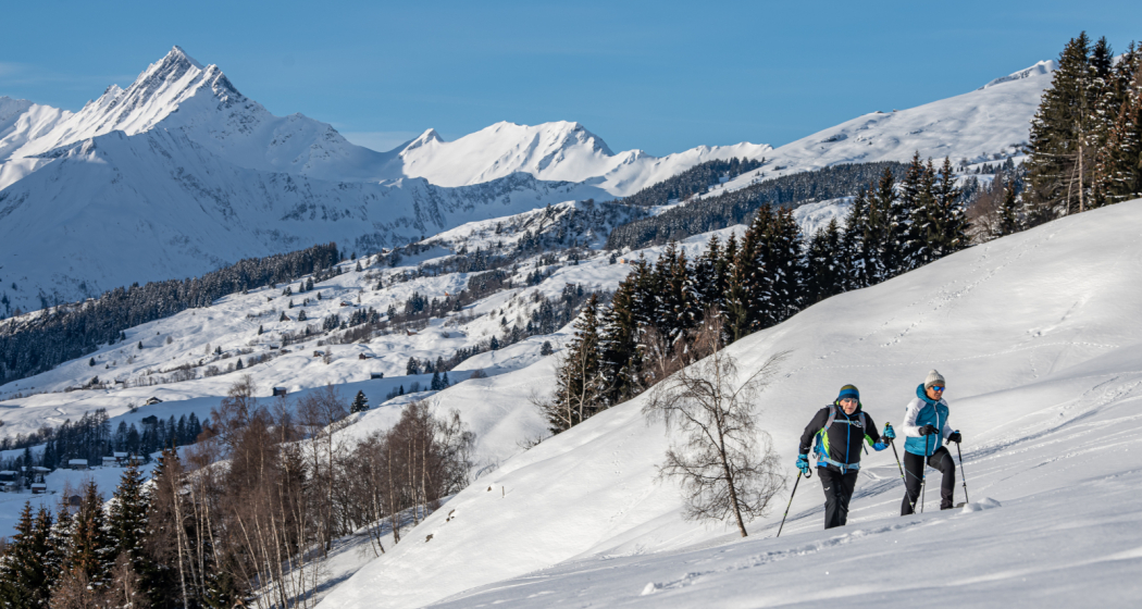 Geführte Schneeschuhtour in Lumnezia (gdl_840064984_image)