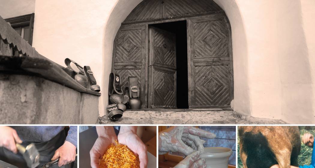 Portas avertas / Tag der offenen Türen (gdl_843927962_image)