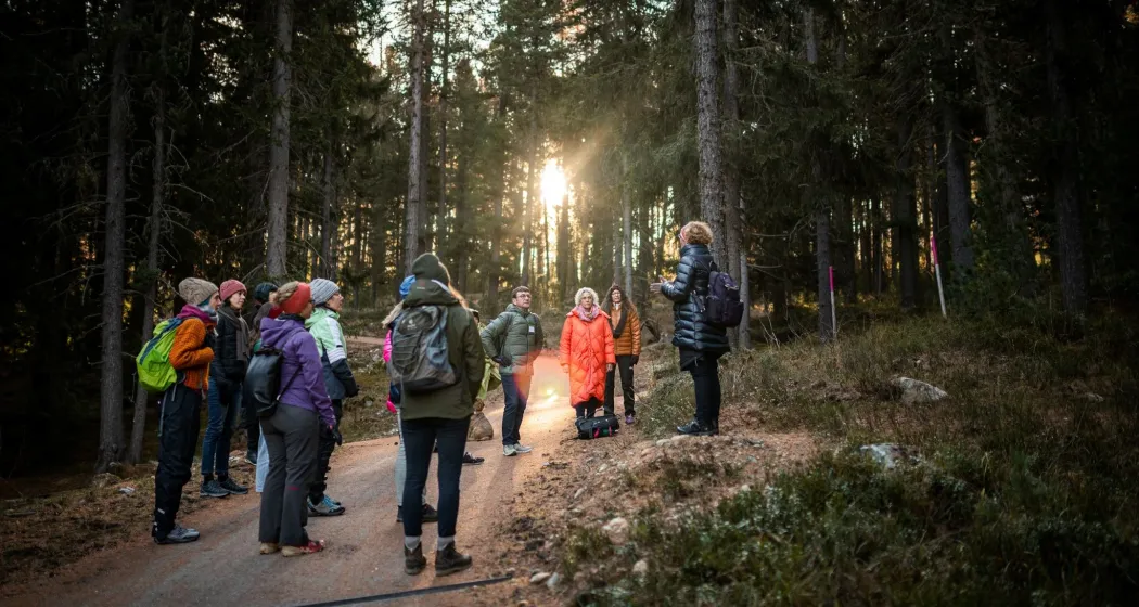 Mind Body Medicine Basiswoche – Inspirationen für einen gesunden Lebensstil (gdl_866714303_image)