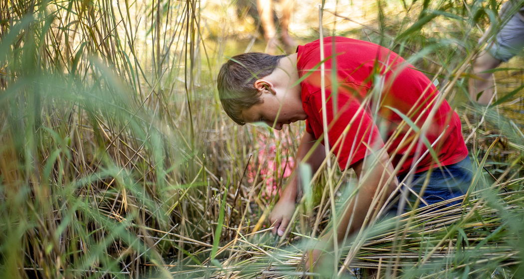 Natur z’Khur –Diin Isatz für d’Natur vor dinra Hustür! Bisch dabi? (gdl_872316797_image) Natur z’Khur –Diin Isatz für d’Natur vor dinra Hustür! Bisch dabi? (gdl_872316797_image)